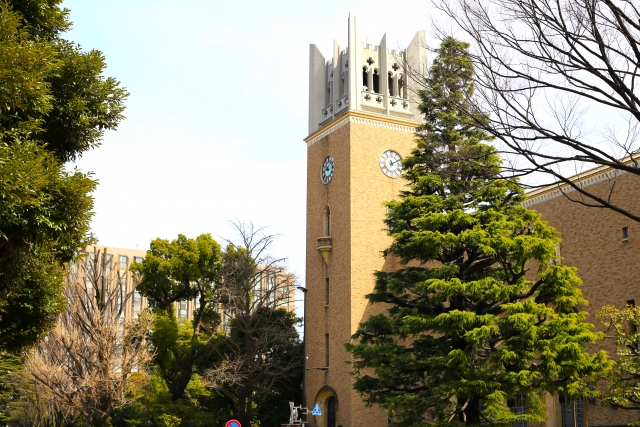 早稲田大学